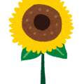ひまわり