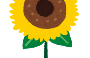 ひまわり